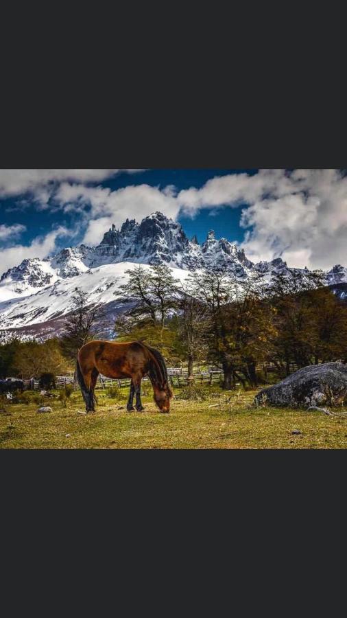 Hostel Basecamp Cerro Castillo Villa Cerro Castillo Dış mekan fotoğraf